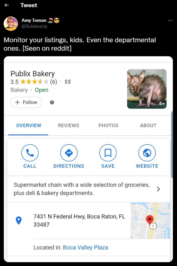 Ein Google My Business Profil einer Bäckerei in einem Tweet von Amy Toman. Im dem GMB Profil ist das Bild einer Katze zu sehen.